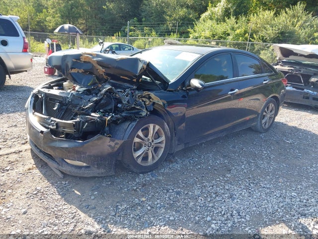 Продажа на аукционе авто 2011 Hyundai Sonata Limited, vin: 5NPEC4AC2BH228326, номер лота: 45827983