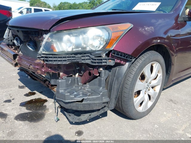 45828589 :رقم المزاد ، 5KBCP3F8XAB016282 vin ، 2010 Honda Accord 3.5 Ex-l مزاد بيع