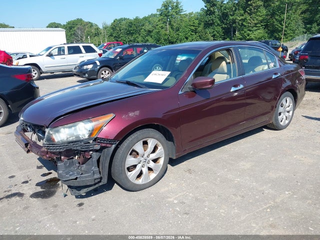 45828589 :رقم المزاد ، 5KBCP3F8XAB016282 vin ، 2010 Honda Accord 3.5 Ex-l مزاد بيع