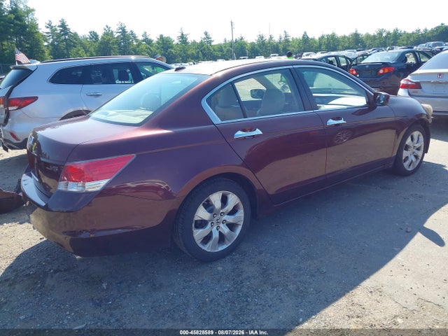 45828589 :رقم المزاد ، 5KBCP3F8XAB016282 vin ، 2010 Honda Accord 3.5 Ex-l مزاد بيع