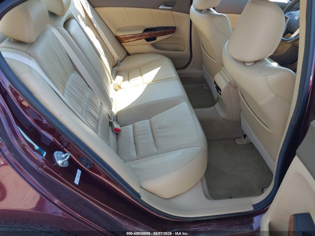 45828589 :رقم المزاد ، 5KBCP3F8XAB016282 vin ، 2010 Honda Accord 3.5 Ex-l مزاد بيع