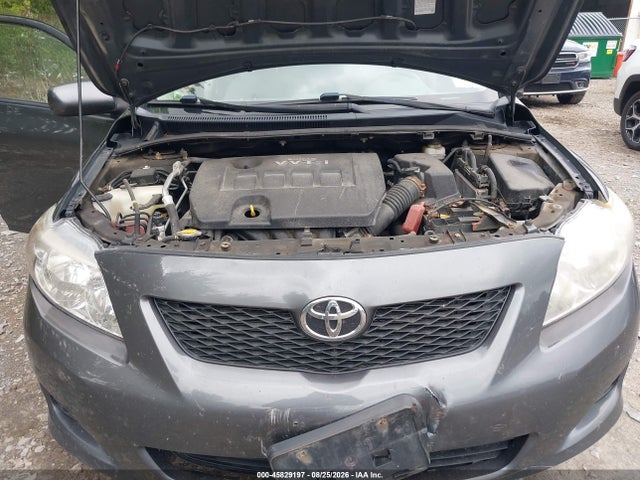 Продажа на аукционе авто 2010 Toyota Corolla Le, vin: 2T1BU4EE5AC238524, номер лота: 45829197