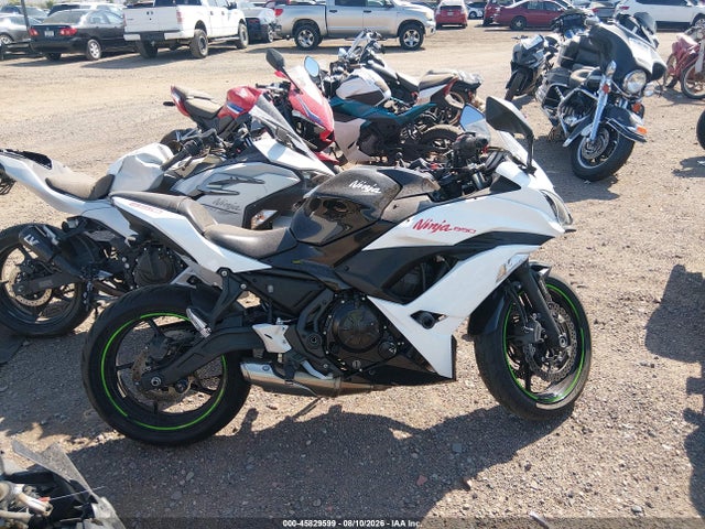 Kawasaki Ex650 F 2019 JKAEXEK13KDA33443 Image 12