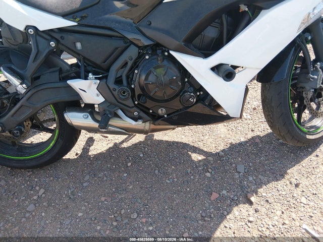 Kawasaki Ex650 F 2019 JKAEXEK13KDA33443 Image 8