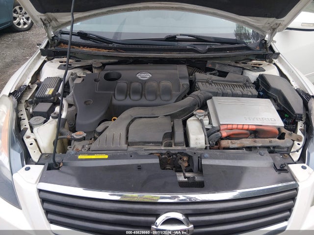 45829860 :رقم المزاد ، 1N4CL21E59C123546 vin ، 2009 Nissan Altima Hybrid مزاد بيع