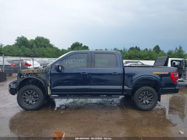 2023 Ford F-150 Tremor მანქანა იყიდება აუქციონზე, vin: 1FTFW1E53PFC87389, აუქციონის ნომერი: 45830445