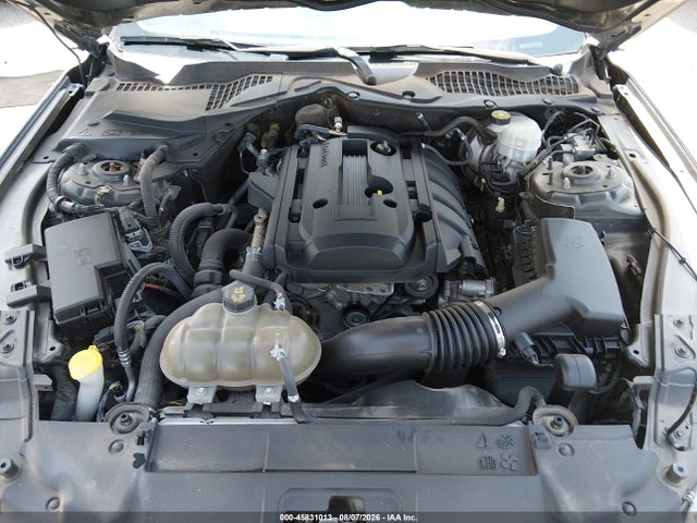 45831013 :رقم المزاد ، 1FA6P8TH6K5134805 vin ، 2019 Ford Mustang Ecoboost مزاد بيع