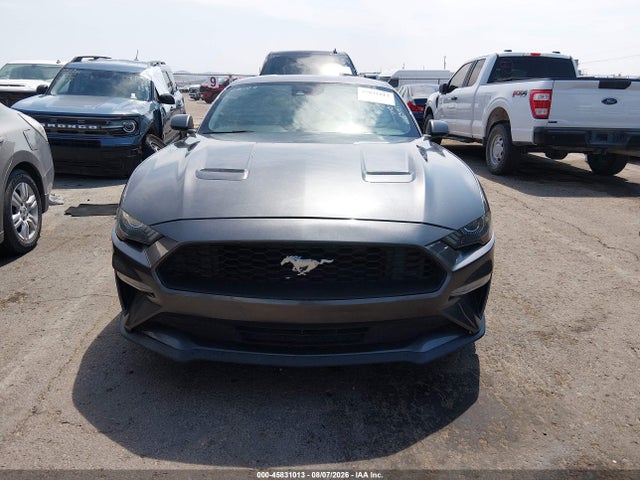 45831013 :رقم المزاد ، 1FA6P8TH6K5134805 vin ، 2019 Ford Mustang Ecoboost مزاد بيع