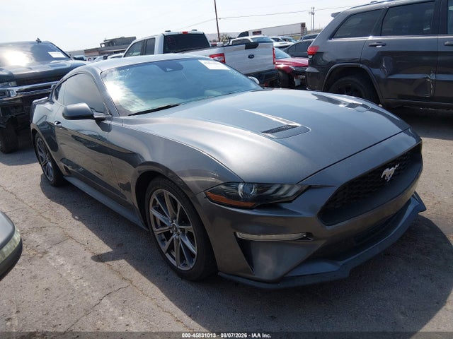 45831013 :رقم المزاد ، 1FA6P8TH6K5134805 vin ، 2019 Ford Mustang Ecoboost مزاد بيع
