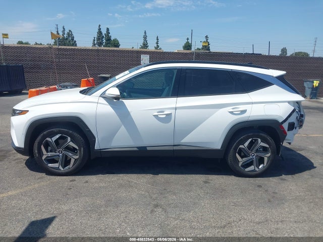 Hyundai Tucson Limited 2024 5NMJECDE8RH371370 Image 14