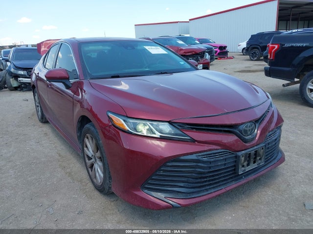 45832905 :رقم المزاد ، 4T1B11HK3KU855395 vin ، 2019 Toyota Camry Le مزاد بيع