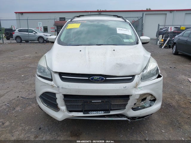 Продаж на аукціоні авто 2014 Ford Escape Se, vin: 1FMCU9G99EUC18704, номер лоту: 45833473