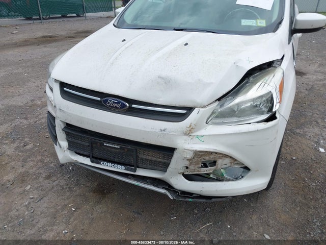 Продаж на аукціоні авто 2014 Ford Escape Se, vin: 1FMCU9G99EUC18704, номер лоту: 45833473