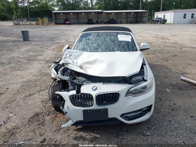 Auction sale of the 2017 Bmw 230i, vin: WBA2K9C37H7A26448, lot number: 45833606
