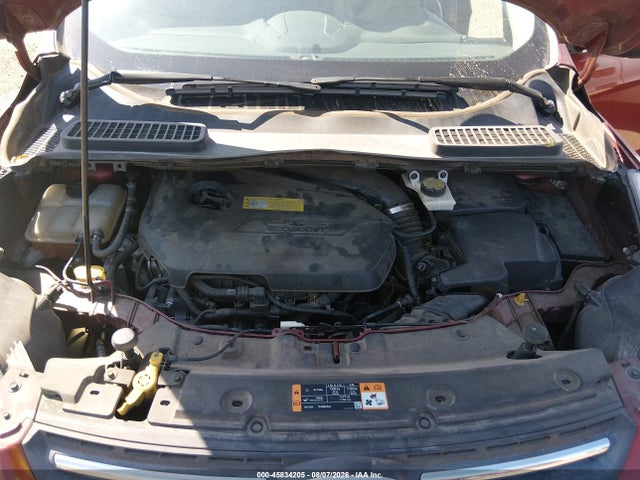 Ford ESCAPE SE 2014 1FMCU0GXXEUC60213 Image 10