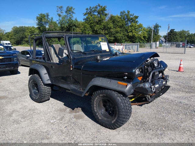 Продажа на аукционе авто 1995 Jeep Wrangler / Yj S/rio Grande, vin: 1J4FY19P4SP200182, номер лота: 45834390