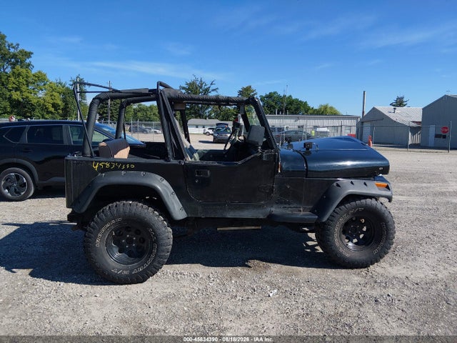 Продажа на аукционе авто 1995 Jeep Wrangler / Yj S/rio Grande, vin: 1J4FY19P4SP200182, номер лота: 45834390