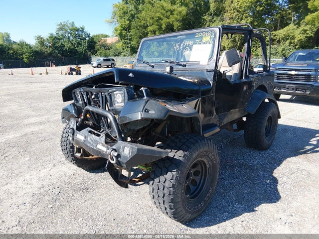 Продажа на аукционе авто 1995 Jeep Wrangler / Yj S/rio Grande, vin: 1J4FY19P4SP200182, номер лота: 45834390