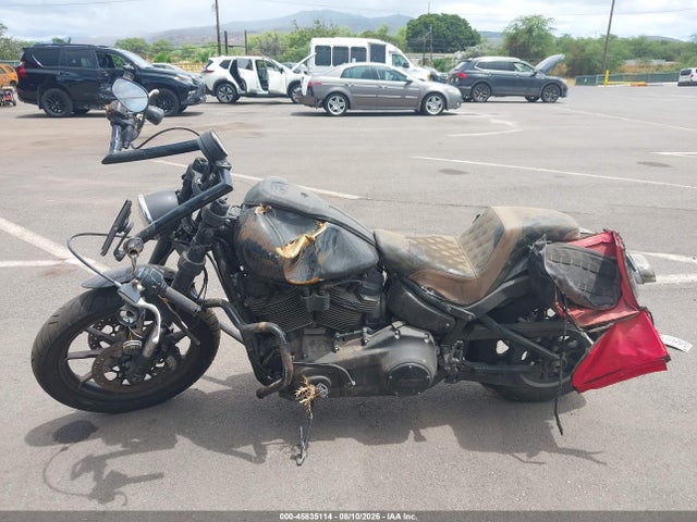 Harley-Davidson FXLRS 2023 1HD1YWZ2XPB023268 Image 13