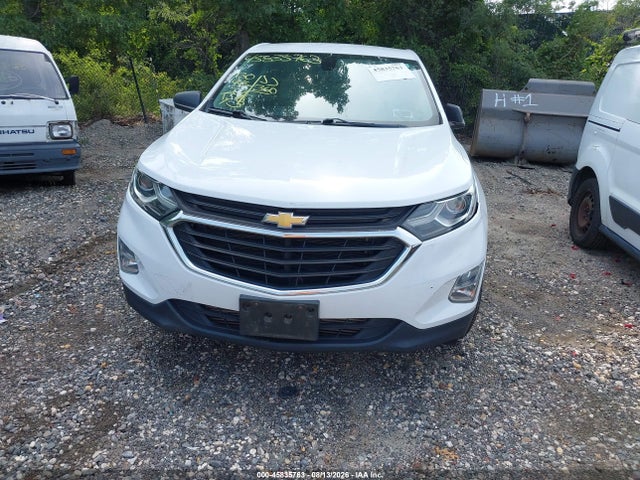 2019 Chevrolet Equinox Ls მანქანა იყიდება აუქციონზე, vin: 3GNAXSEV7KS571780, აუქციონის ნომერი: 45835763