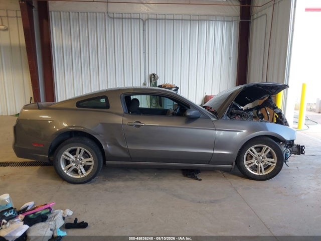 Ford Mustang V6 2014 1ZVBP8AM4E5204926 Image 14