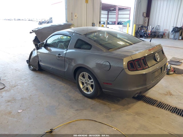 1ZVBP8AM4E5204926 Ford Mustang V6