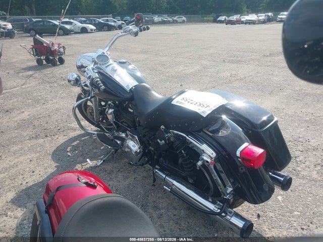 Harley-Davidson FLHR 2019 1HD1FBC1XKB631301 Image 3