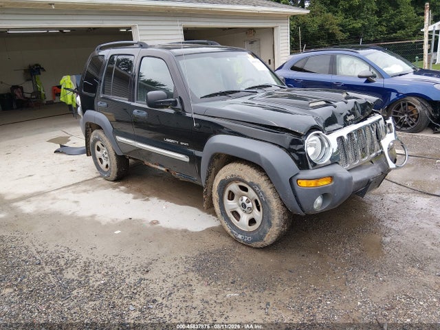 Aukcja sprzedaży 2003 Jeep Liberty Sport, vin: 1J4GL48K63W660722, numer aukcji: 45837875