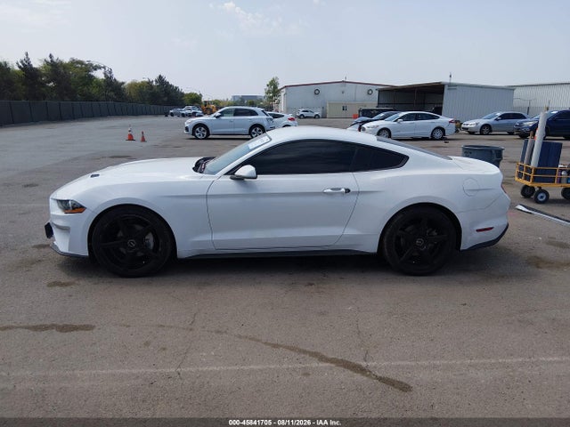 Ford Mustang Ecoboost Fastback 2021 1FA6P8TH9M5139483 Image 15