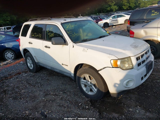 45841773 :رقم المزاد ، 1FMCU5K38AKB18529 vin ، 2010 Ford Escape Hybrid Limited مزاد بيع