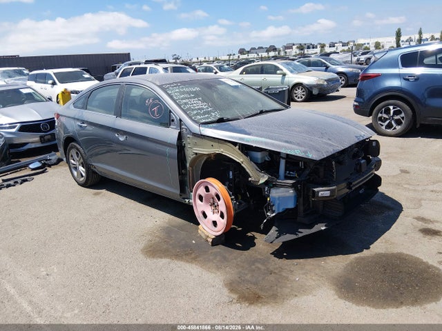 2019 5NPE34AF7KH770273 zdjęcie główne