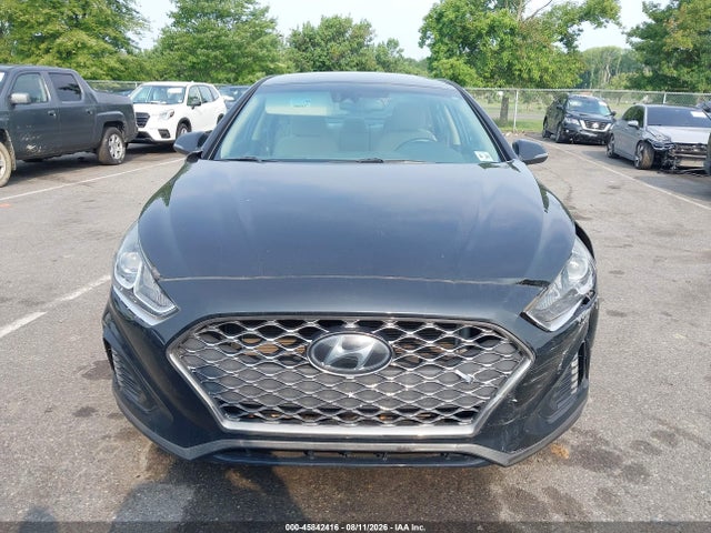 45842416 :رقم المزاد ، 5NPE34AF4KH733939 vin ، 2019 Hyundai Sonata Sel مزاد بيع