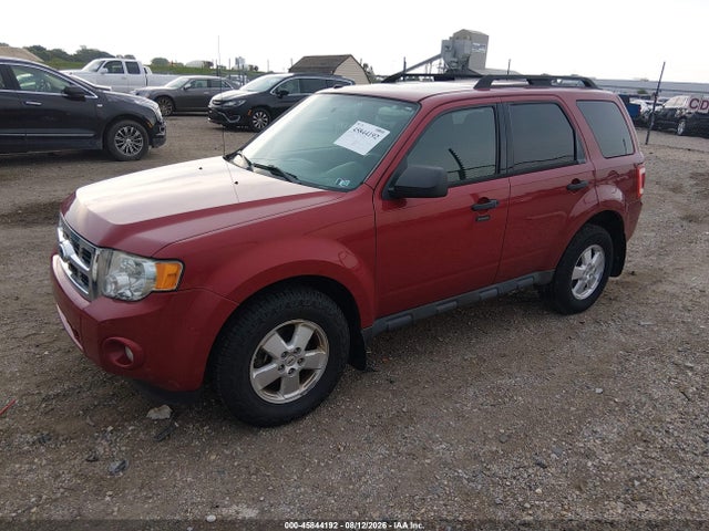 Продажа на аукционе авто 2011 Ford Escape Xlt, vin: 1FMCU9DG4BKA48570, номер лота: 45844192