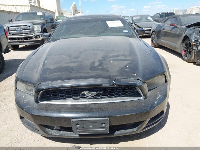 1ZVBP8AMXE5320518 Ford Mustang V6