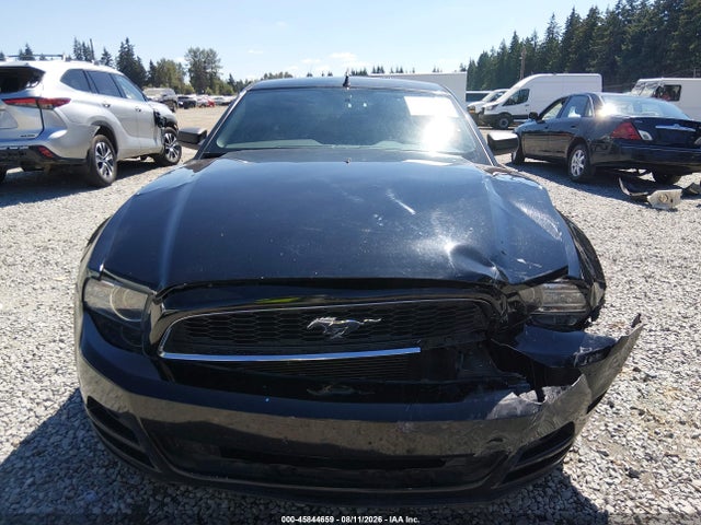 1ZVBP8AM8E5306438 Ford Mustang V6