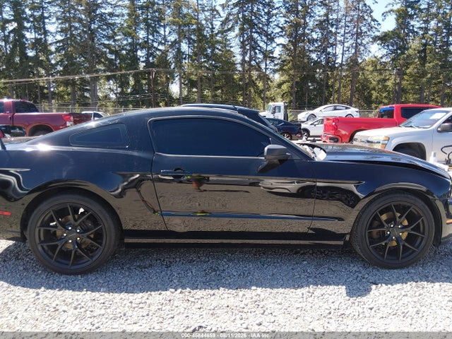 1ZVBP8AM8E5306438 Ford Mustang V6