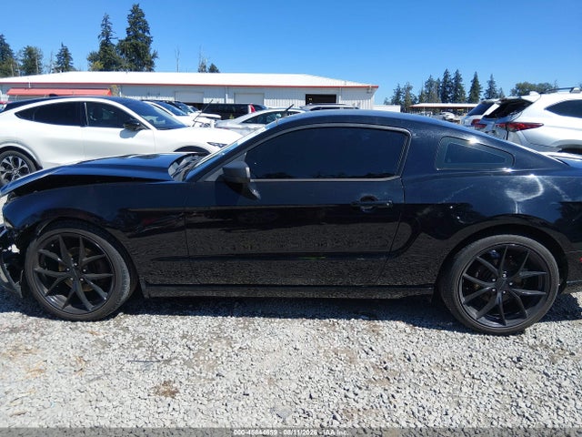 1ZVBP8AM8E5306438 Ford Mustang V6