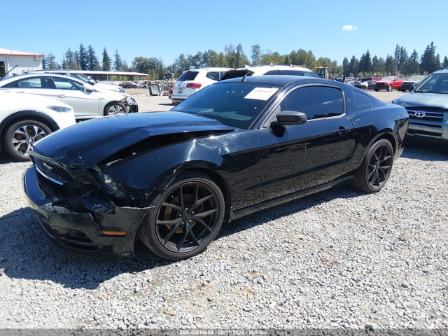 1ZVBP8AM8E5306438 Ford Mustang V6