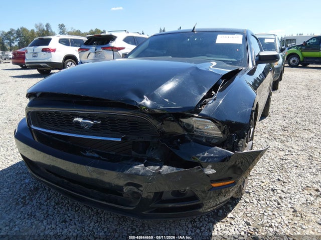 1ZVBP8AM8E5306438 Ford Mustang V6