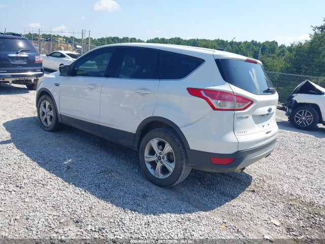 Ford ESCAPE SE 2014 1FMCU0GX9EUD18523 Image 3
