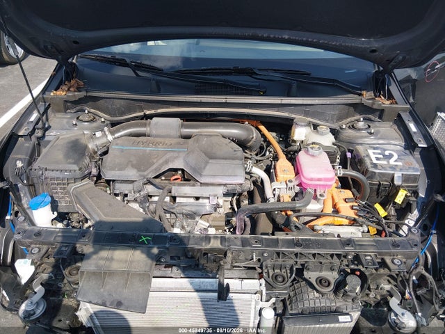 45849735 :رقم المزاد ، KNDPVCDG5R7165944 vin ، 2024 Kia Sportage Hybrid Ex مزاد بيع