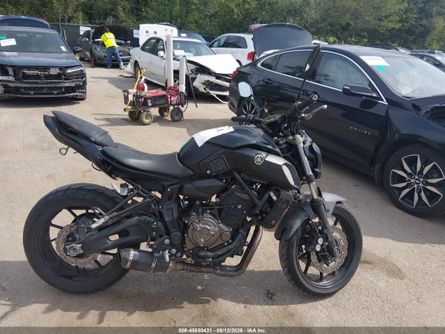JYARM27E5LA007254 Yamaha MT07