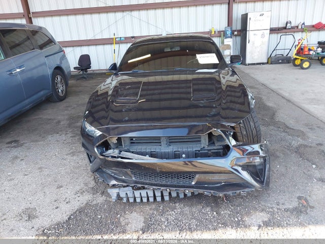 45850521 :رقم المزاد ، 1FA6P8CF1K5175101 vin ، 2019 Ford Mustang Gt مزاد بيع