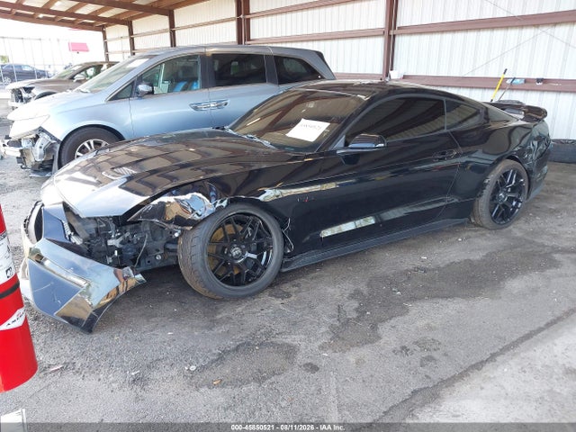 45850521 :رقم المزاد ، 1FA6P8CF1K5175101 vin ، 2019 Ford Mustang Gt مزاد بيع