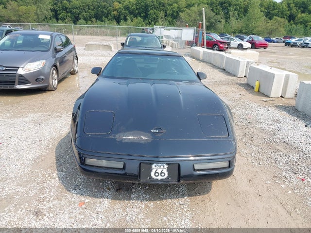 Продаж на аукціоні авто 1996 Chevrolet Corvette, vin: 1G1YY22P4T5112933, номер лоту: 45851648