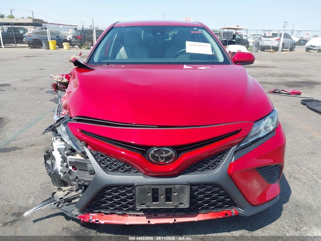 4T1B11HK1KU231482 Toyota CAMRY SE