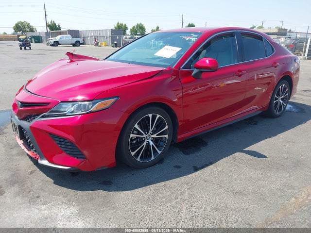 4T1B11HK1KU231482 Toyota CAMRY SE