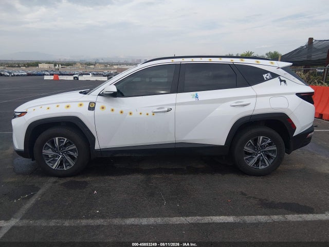 Hyundai Tucson Hybrid Blue 2023 KM8JBCA14PU093787 Image 14