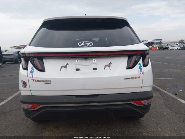 Hyundai Tucson Hybrid Blue 2023 KM8JBCA14PU093787 Image 16