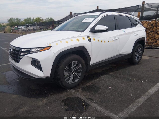 Hyundai Tucson Hybrid Blue 2023 KM8JBCA14PU093787 Image 2